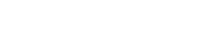 TINA Stephens logo
